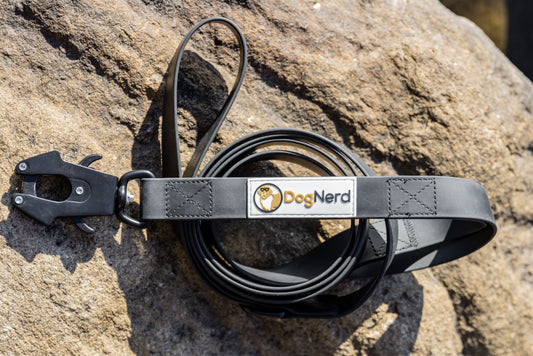 simpLEash Dual Handle - 6 Foot Silicone Leash