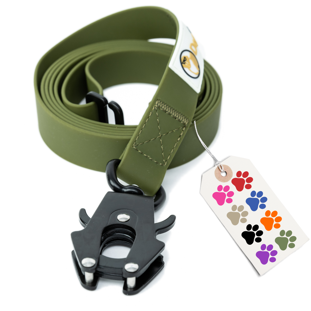 simpLEash - 6 Foot Silicone Leash