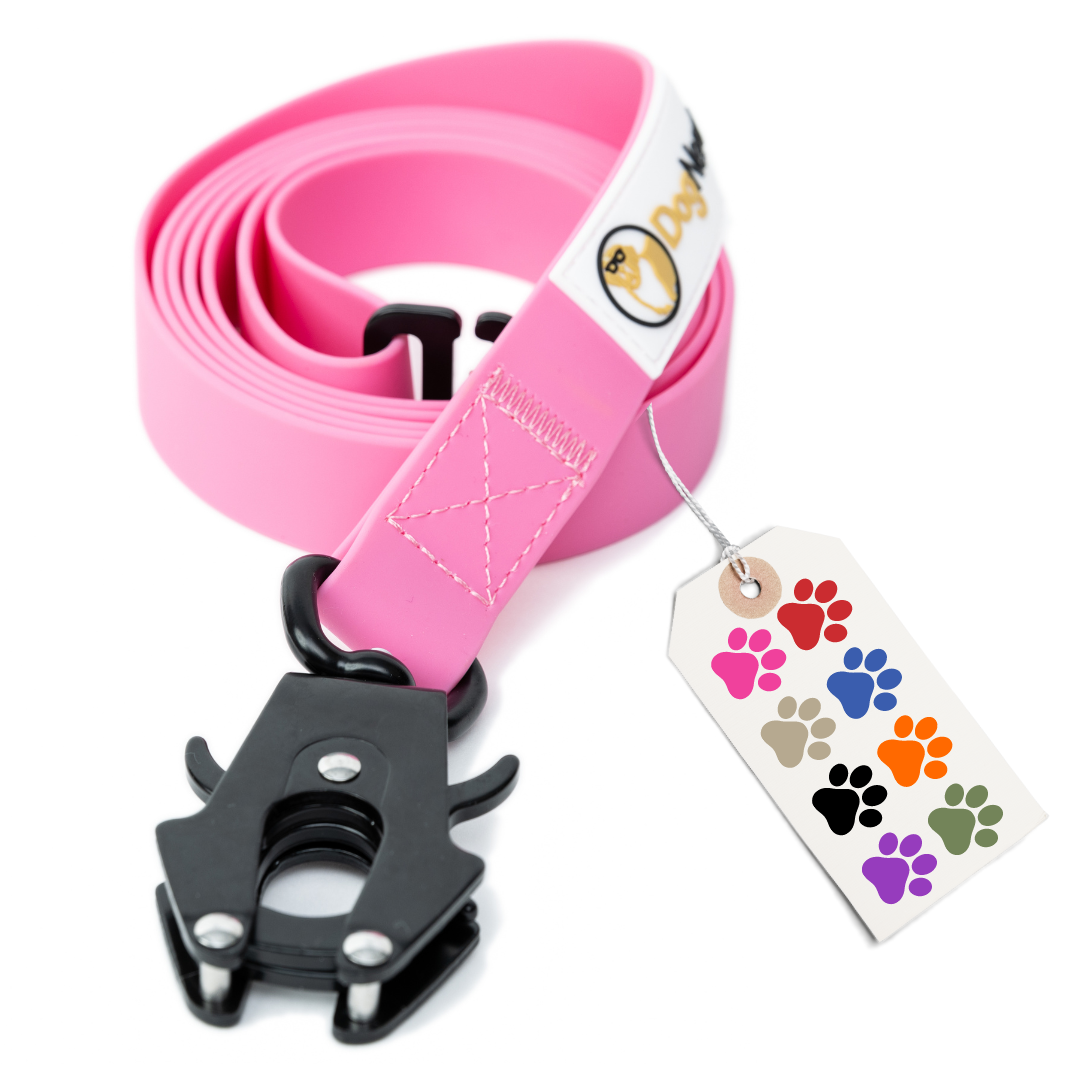 simpLEash - 6 Foot Silicone Leash