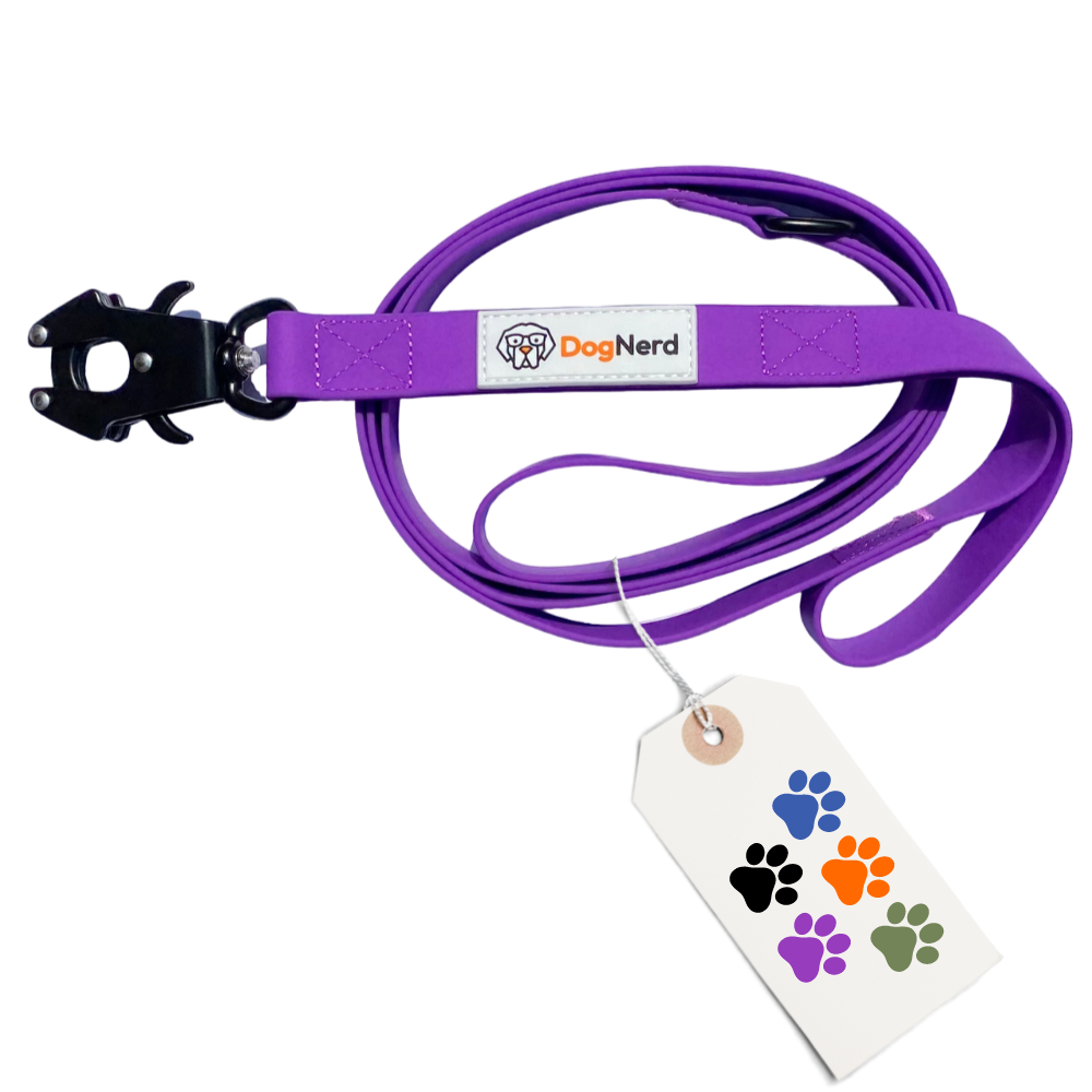 simpLEash Dual Handle - 6 Foot Silicone Leash