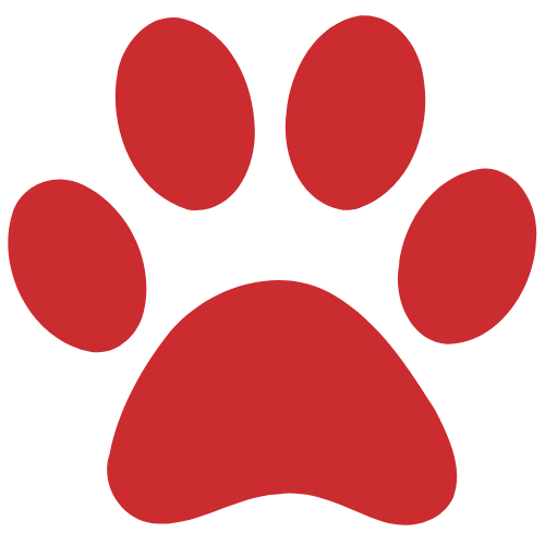 simpLEash - 8 Foot Silicone Leash