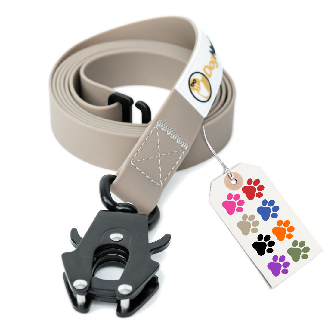 simpLEash - 6 Foot Silicone Leash