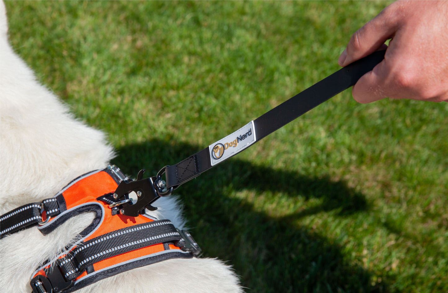 simpLEash - 6 Foot Silicone Leash