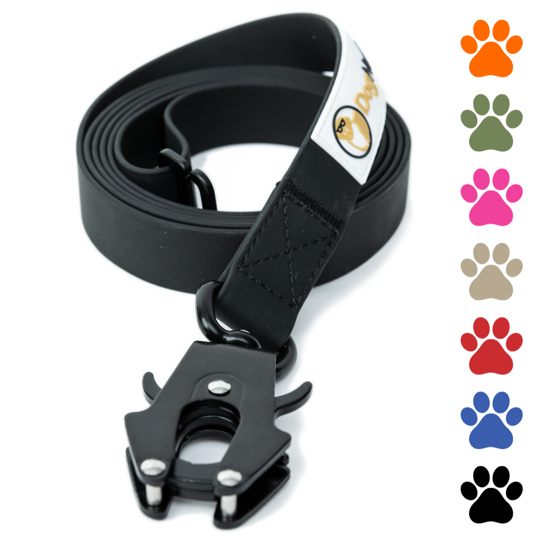 10 foot hot sale biothane leash