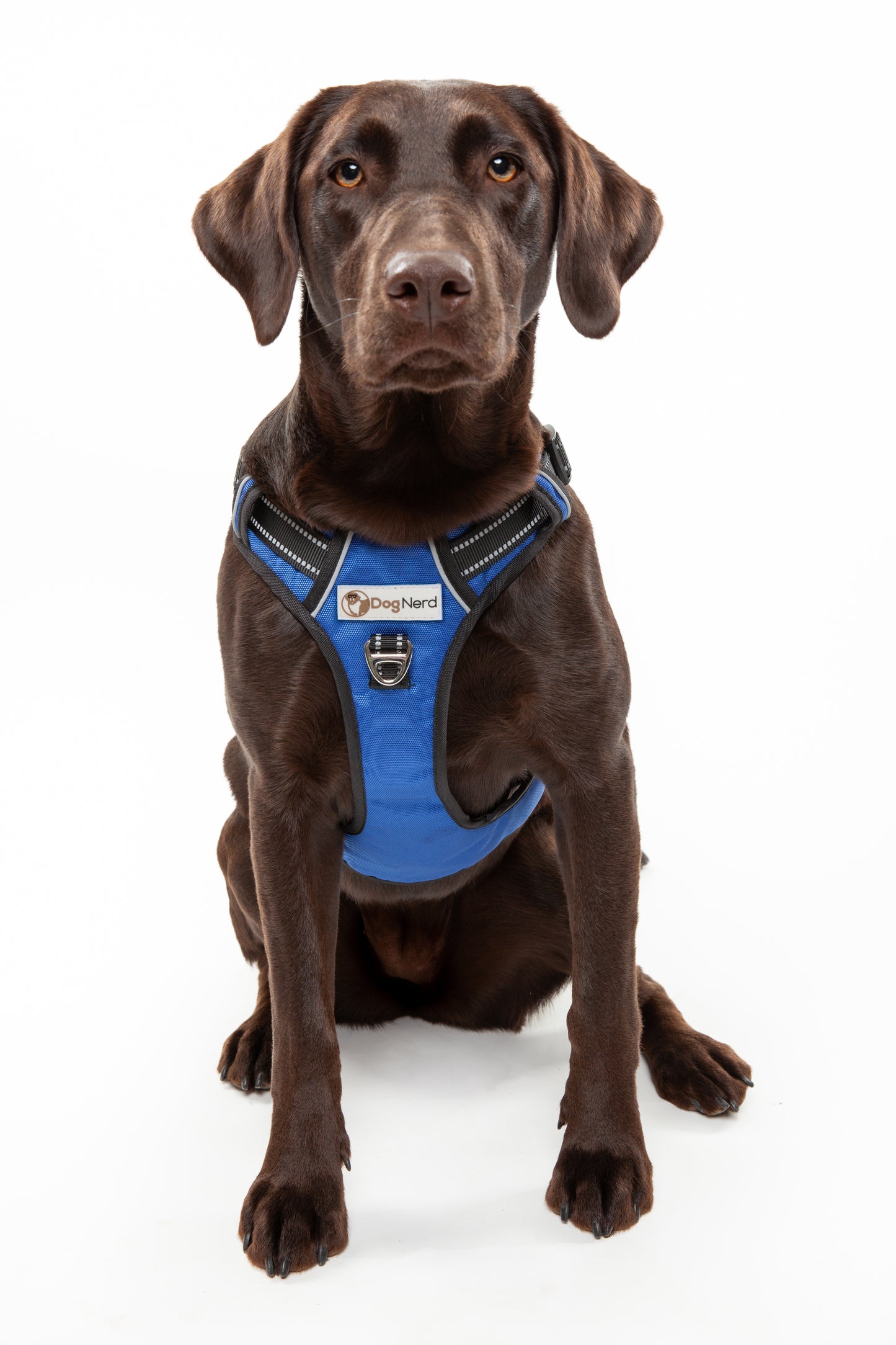 DogNerd No-Pull Harness - Large