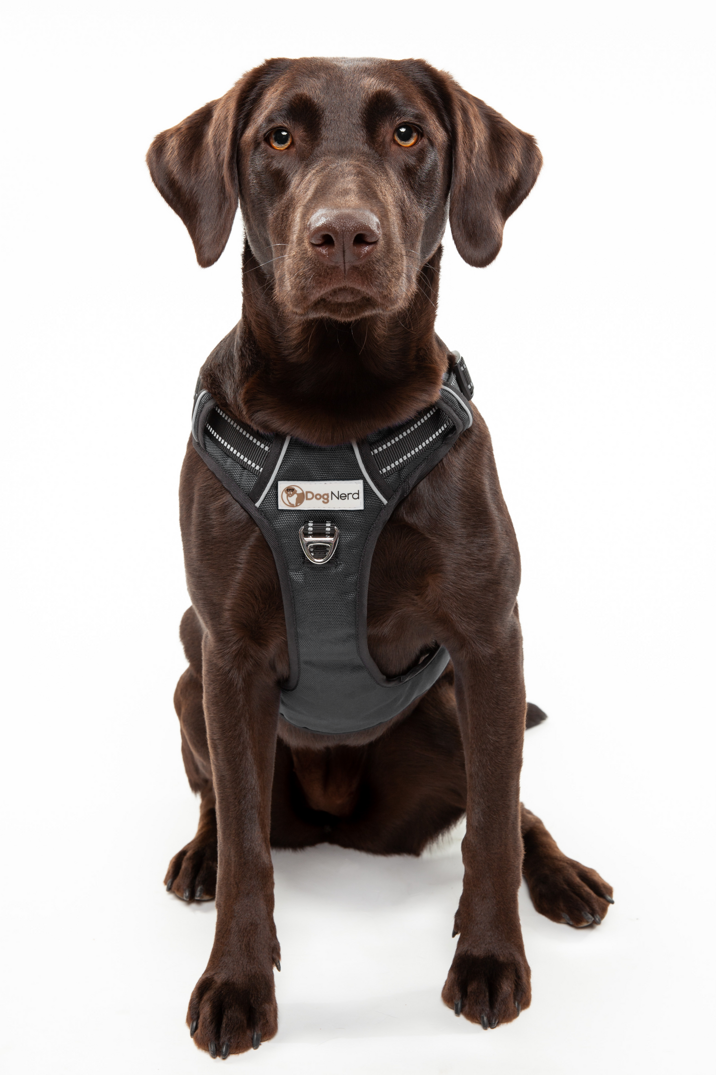 DogNerd No-Pull Harness - Large