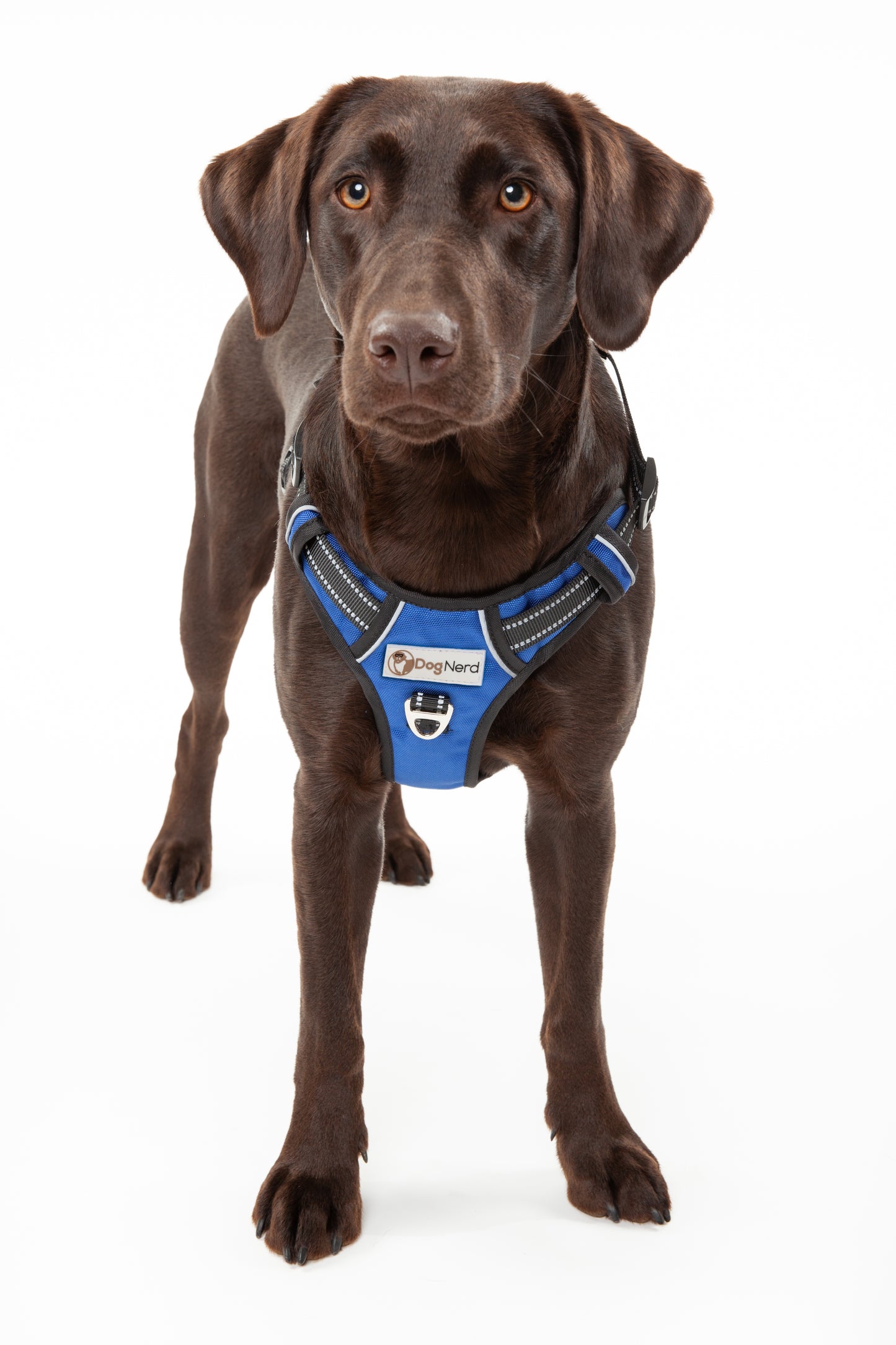 DogNerd No-Pull Harness - Large