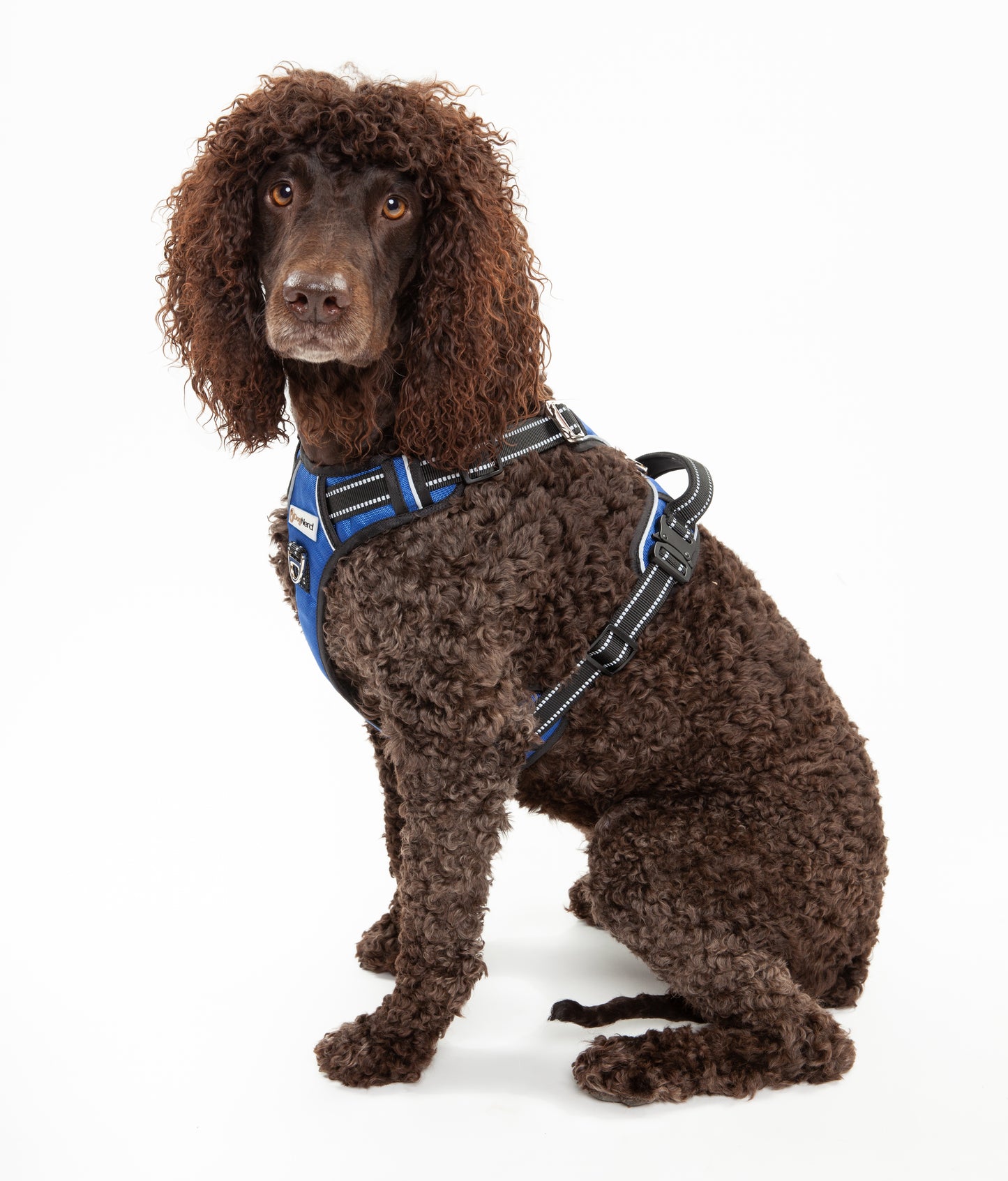 DogNerd No-Pull Harness - Large